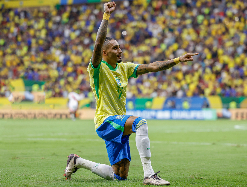 在有限的几 在有限的几