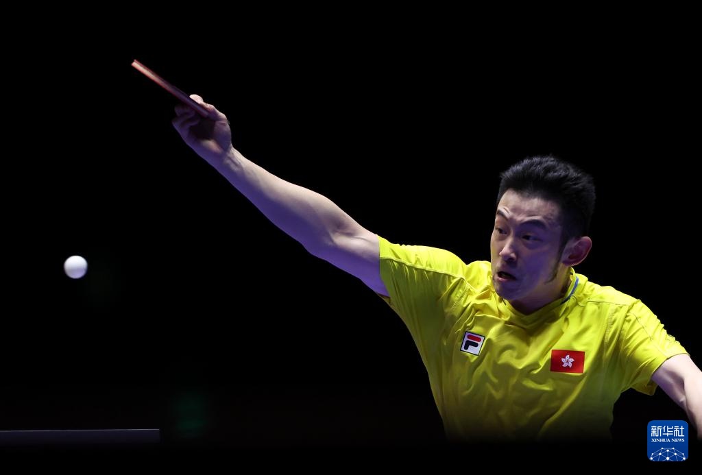 戰國際賽場 戰國際賽場