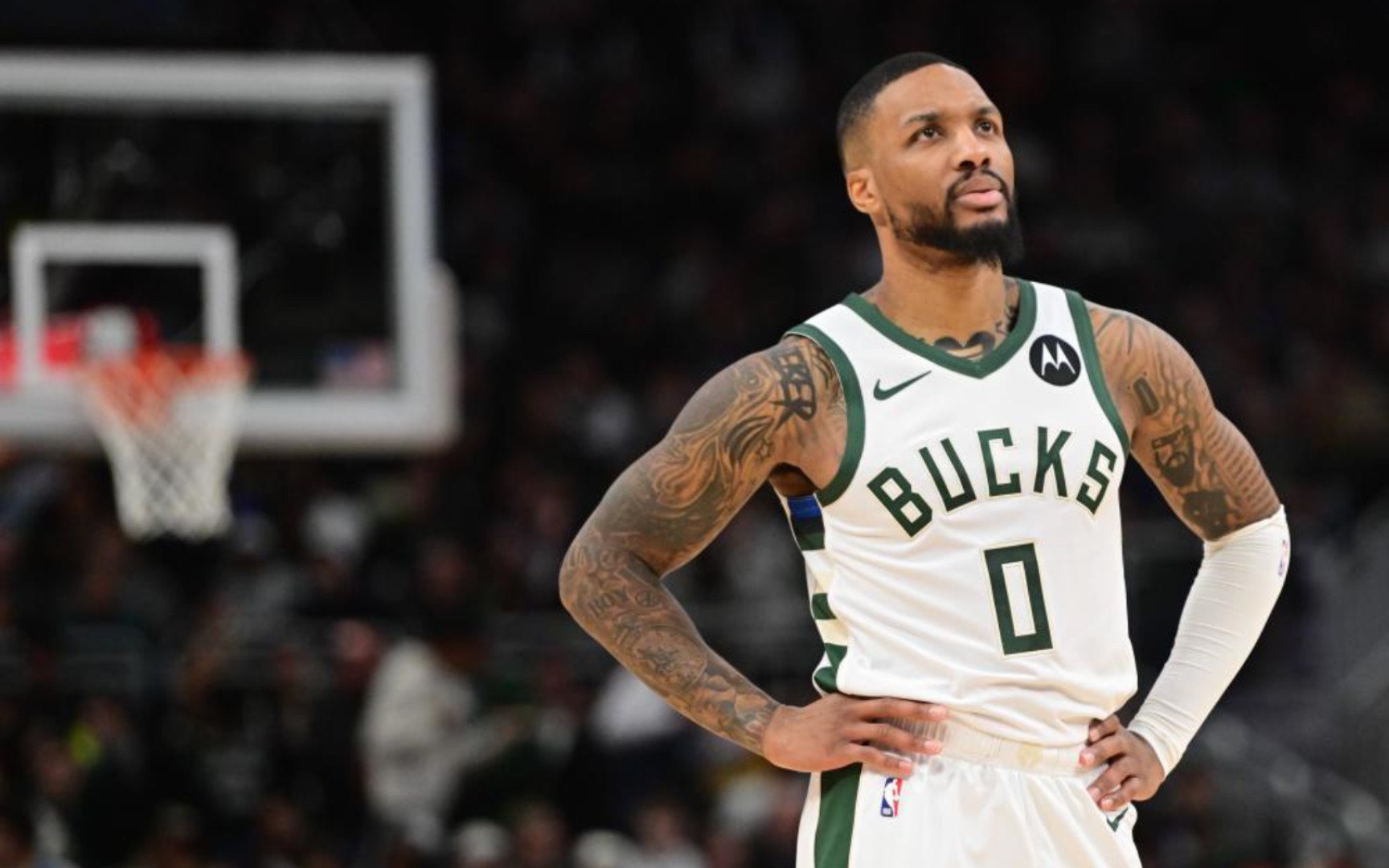 迅速找到应 迅速找到应